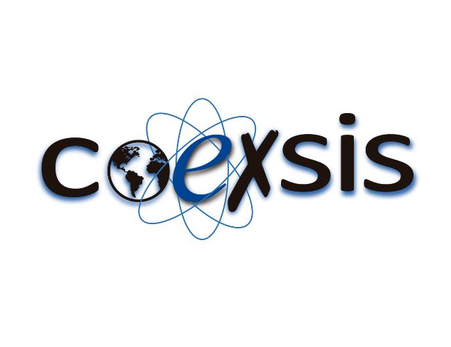 COEXSIS | MARKETING DIGITAL | DISEÑO WEB | ECOMMERCE