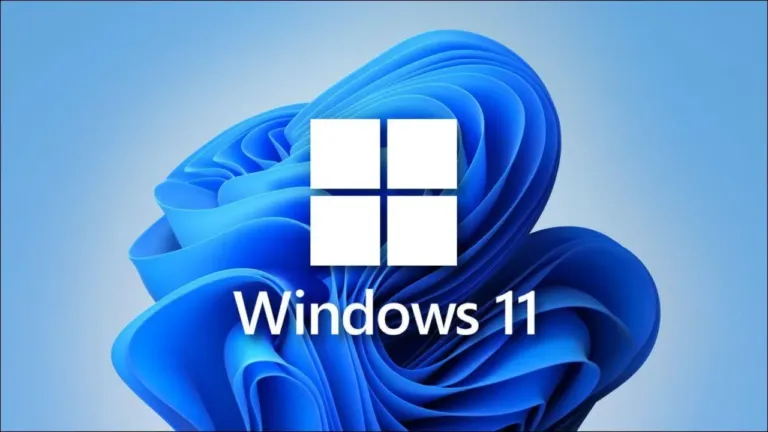 WINDOWS 11