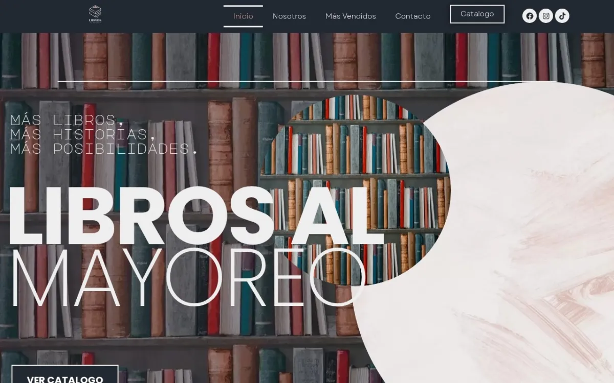 Imagen del proyecto librosalmayoreo